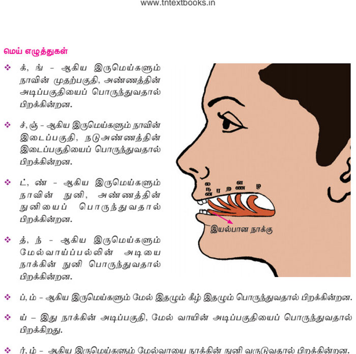 This Illustration In My Tamil Textbook To Teach Pronouncation