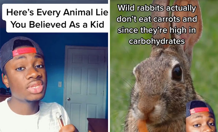 Guy Exposes 24 Animal Lies We Believe As Kids, Provides An Explanation About What Is Actually Happening