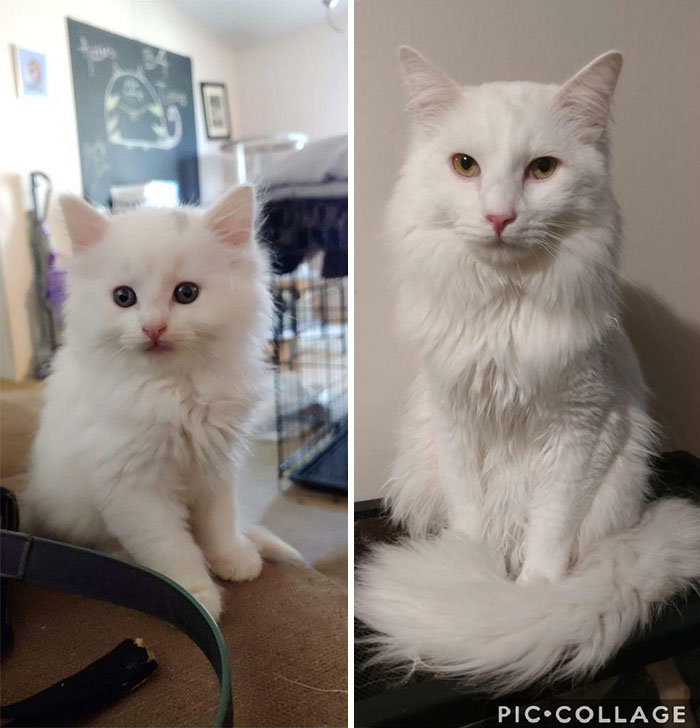 Ralph, Then And Now