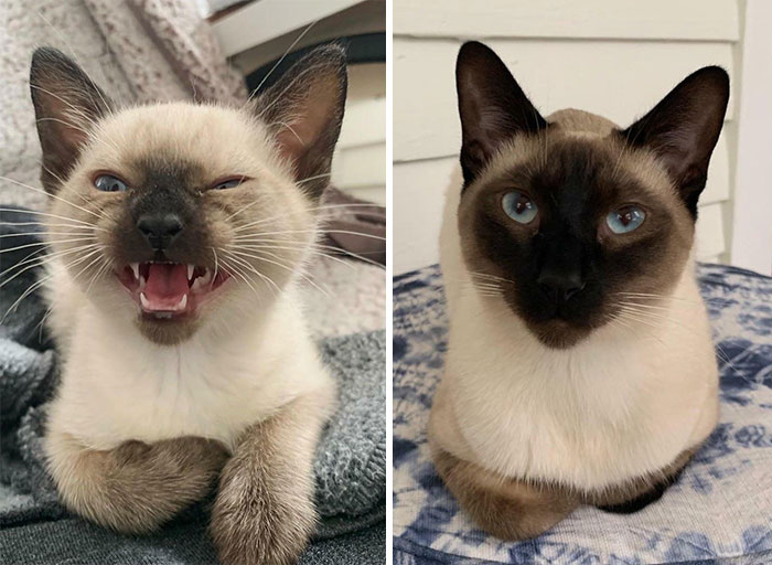2 Months To 12 Months, And We Still Like To Yell!