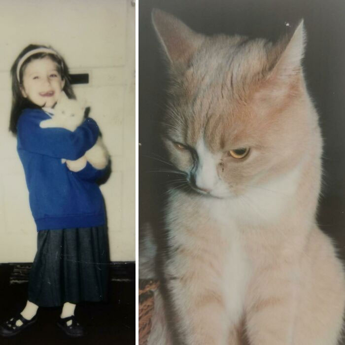 I Got My Cat Alfie When I Was 4 As A Gift On My First Day Of School And He Died When I Was 20. We Were Inseparable! I'm 27 Now And I Still Think Of Him All The Time. Until I See You Again My Boy