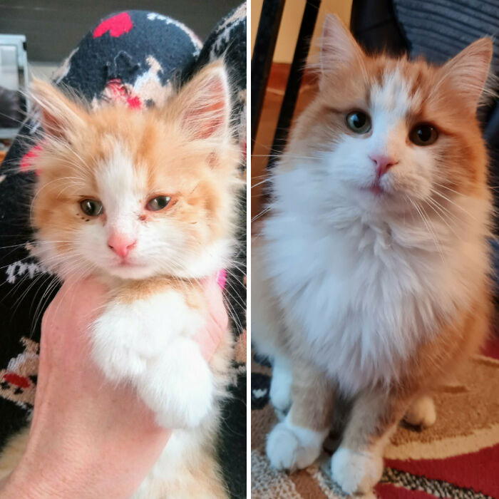 My Baby Boy, The Day I Found Him And Now, 18 Months Later