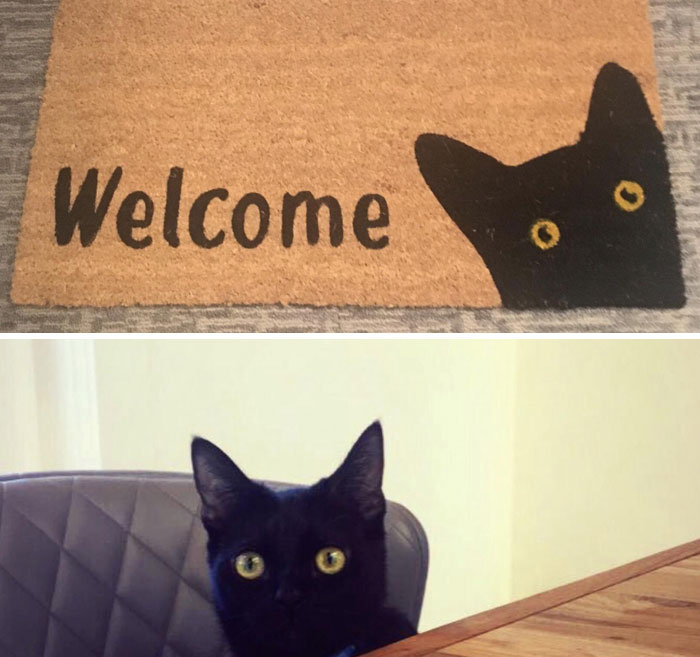 I Found A Doormat For My New Apartment That Looks Just Like My Cat, And That Makes Me Happy