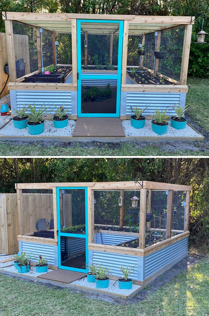 Our Raised And Fully Enclosed DIY Vegetable Garden Built By My Incredibly Talented Husband