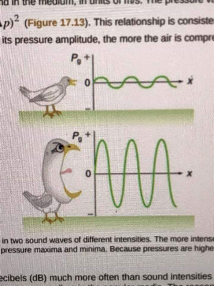 Hilarious-Science-Diagrams
