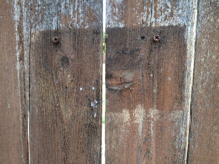 Old Fence Face.
