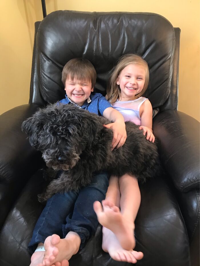 A 6 Year Old Autistic Boy With His 5 Year Old Sister Sharing A Chair And Holding My Blind Dog❤️