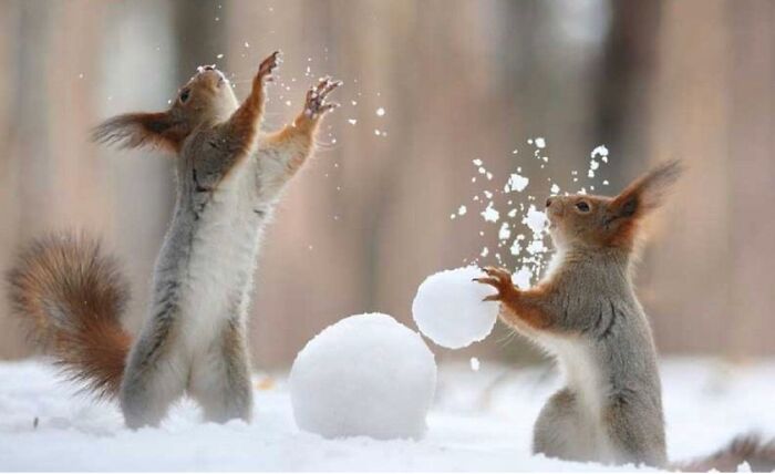 Look At This Animals!!!🐡