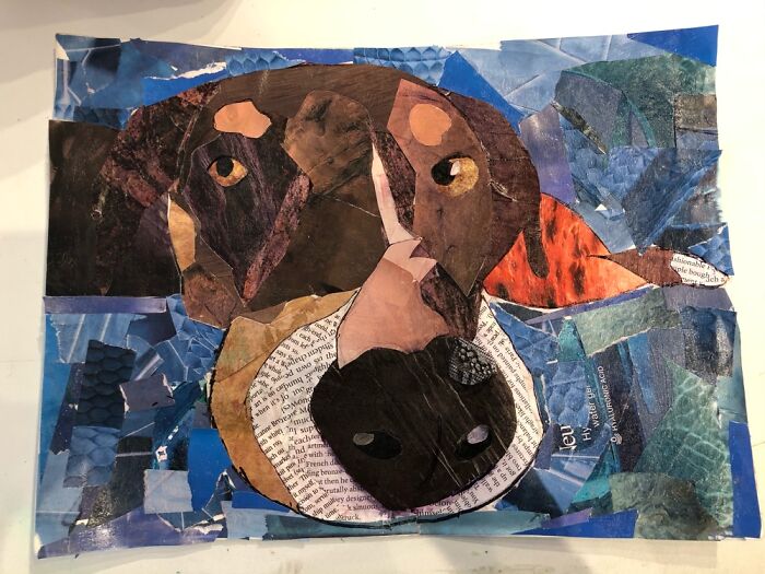 Had To A Paper Collage For My Art Class So I Did My Doggo