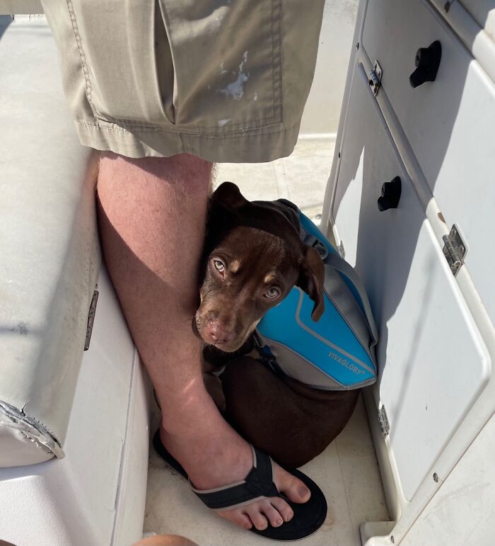 Su primera vez en un bote