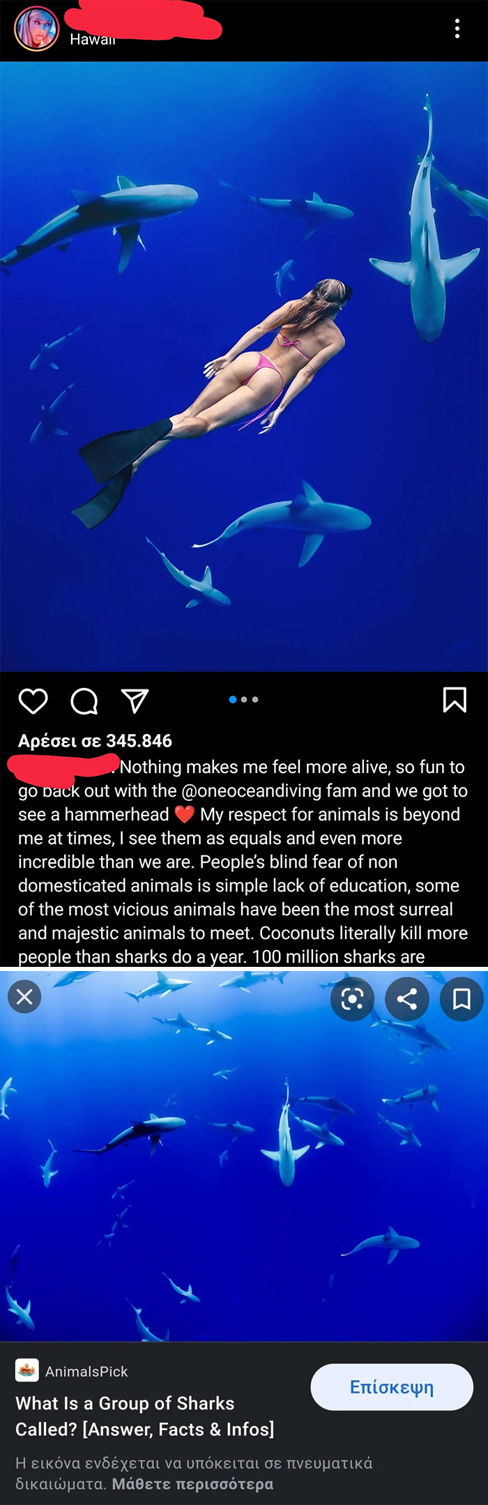 Faking Swimming With Sharks Is A Thing Now I Guess, By Blatantly Stealing A Background Image From The Internet