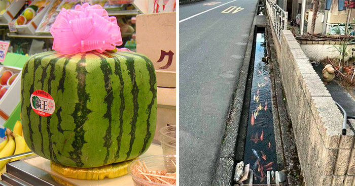33 Facts That Prove Japan Is Unlike Any Other Country