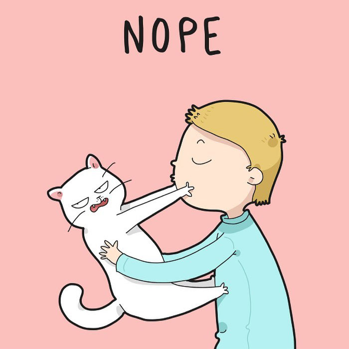 Artist Illustrates Hilarious Moments In The Life Of Every Cat Owner (30 New Pics)