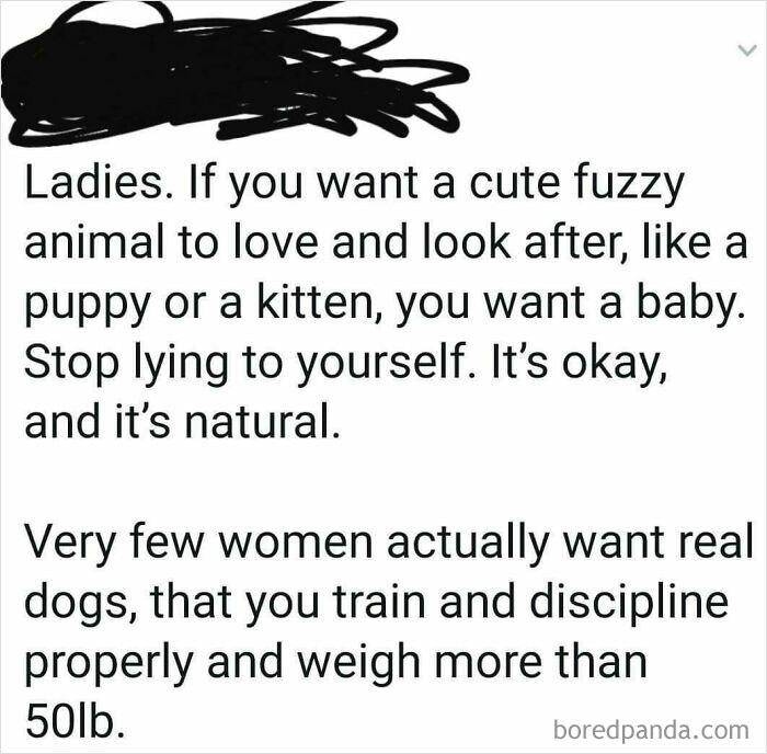 Yes Because I Actually Want A Completely Dependent Creature At A Time Where I Can't Even Afford My Own Food, That's Why I Have A Cat