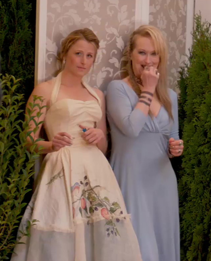 Mamie Gummer And Meryl Streep Played Mother And Daughter In Ricki And The Flash (2015)