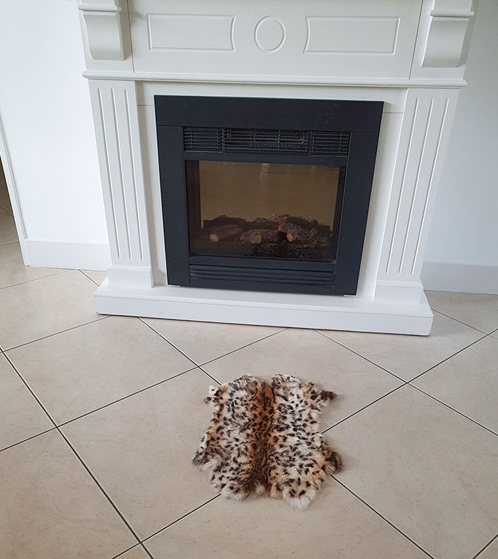 I Ordered A Rug For The Fireplace