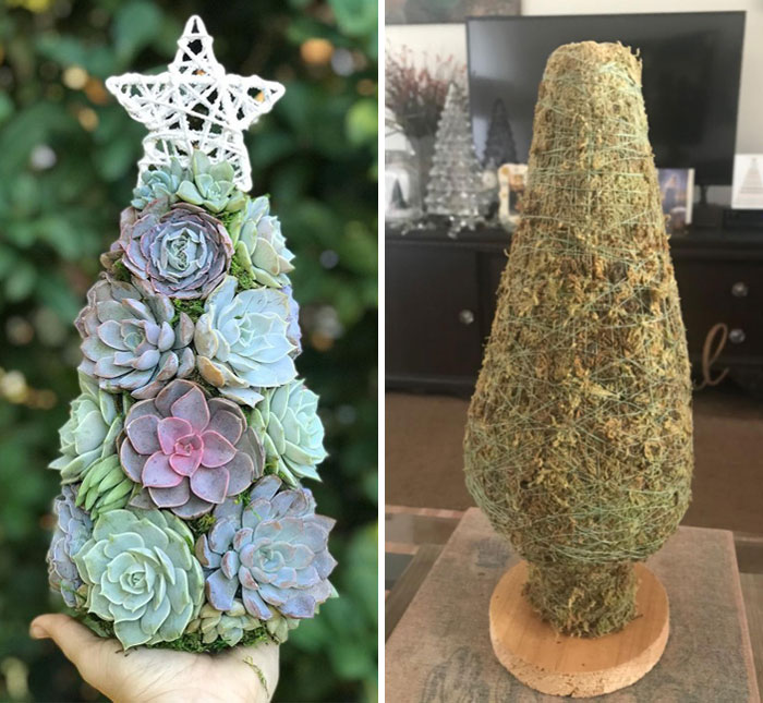 Expectation vs. Reality. Ordered Off Of Facebook For My Friend