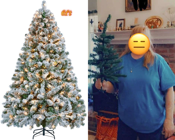 My Mom Ordered A 6 Ft Pre-Lit, Flocked Christmas Tree. What She Got