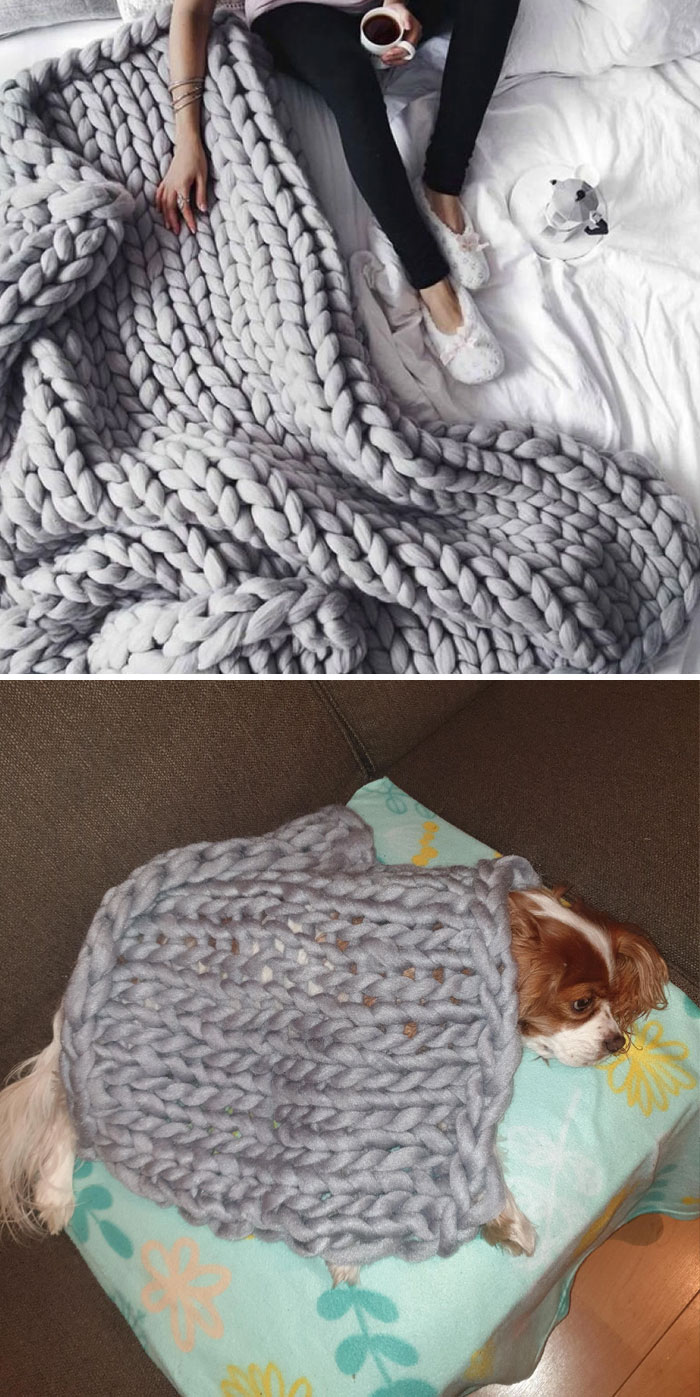 What We Ordered vs. What We Got (Feat. My Dog)