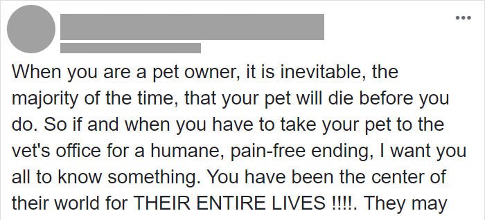 Vet Shares That There Are More Emotionally Draining Things In Their Job Than Putting Animals To Sleep
