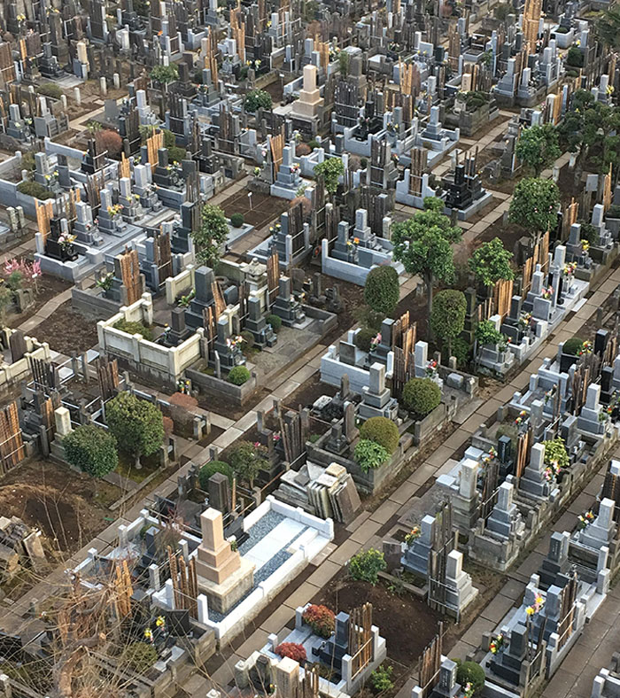 The View Of A Cemetery From My Tokyo Hotel Window Looks Like A Cityscape