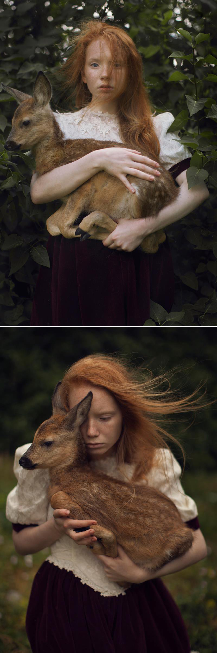 Surreal-Animal-Photography-Katerina-Plotnikova