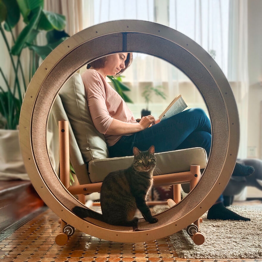 I Made This So We Can Hang Out With Our Cats! I Made This So We Can Hang Out With Our Cats!