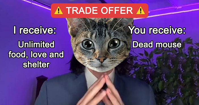 People Online Are Cracking Up At These 40 “Trade Offer” Memes