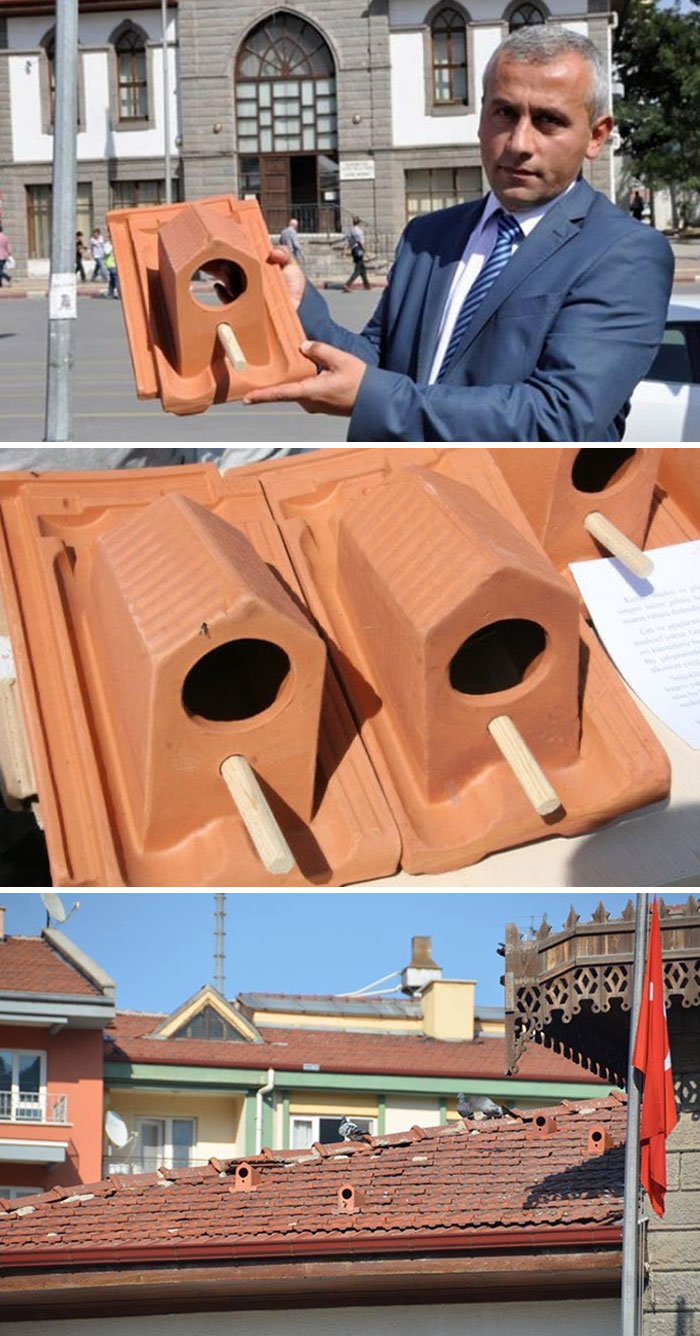 A Factory In Turkey Started To Produce Roof Tiles That Serve As Bird Shelters