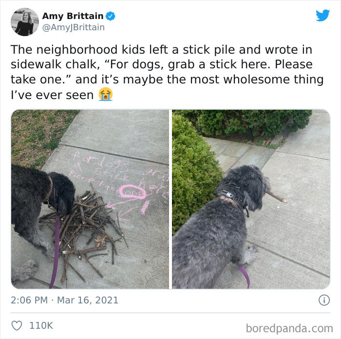 Some Kids Made A Stick Pile For Dogs Walking By