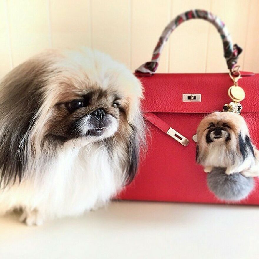 "You Can Say Any Foolish Thing To A Dog, And The Dog Will Give You A Look That Says, 'Wow, You're Right! I Never Would've Thought Of That!'”
—dave Barry 
#quotesoftheday #pekingese #needlefelting
