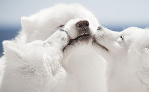 'One Eyeland' Have Revealed The Winners Of Their 2020 Photography Contest (71 Pics)