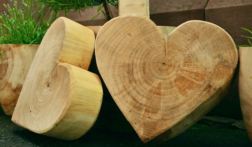 How Do I Become A Woodworker? How Do I Become A Woodworker?