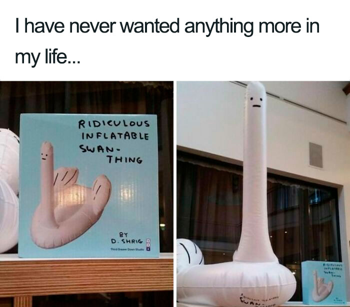 Inflatable Swan Thing