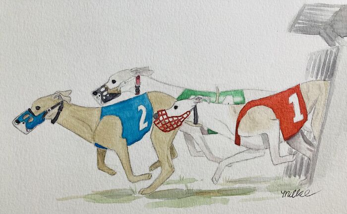 Whippets, Drawn From A Photo I Took At The Races
