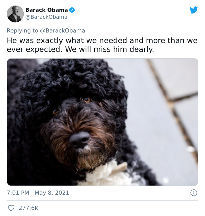 President Obama Shares Heart-Wrenching Tribute To Honor His Late Doggo And The Internet's Crying With Him