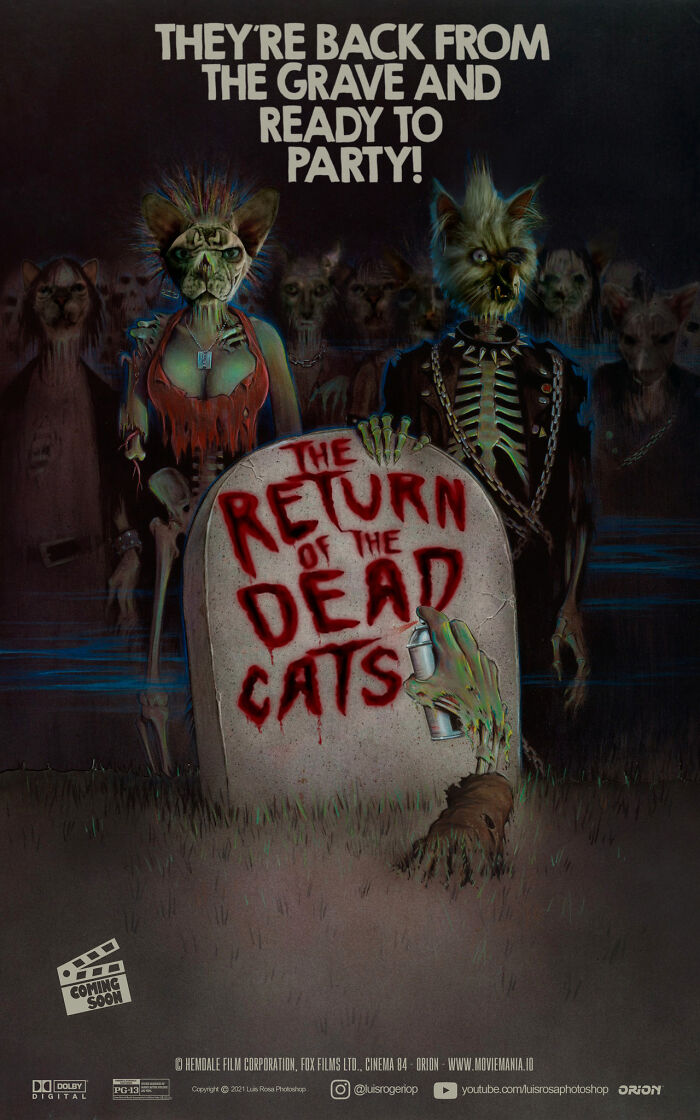 The Return Of The Dead Cats