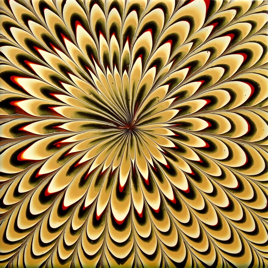 When Gold Is In Charge 😲 Fluid Art 3D Flower ~acrylic Pouring For Beginners ~ Easy Flower When Gold Is In Charge 😲 Fluid Art 3D Flower ~acrylic Pouring For Beginners ~ Easy Flower