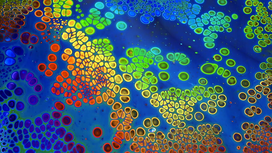 Rainbow In A Cup ~ Flip Cup Acrylic Pour Painting ~ Fluid Art ~ Step By Step Tutorial Rainbow In A Cup ~ Flip Cup Acrylic Pour Painting ~ Fluid Art ~ Step By Step Tutorial
