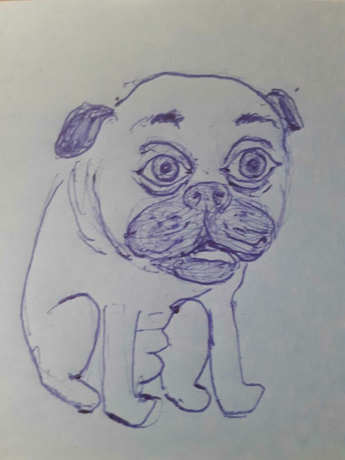 Went For Buscemi But Got RDJ As A Pug