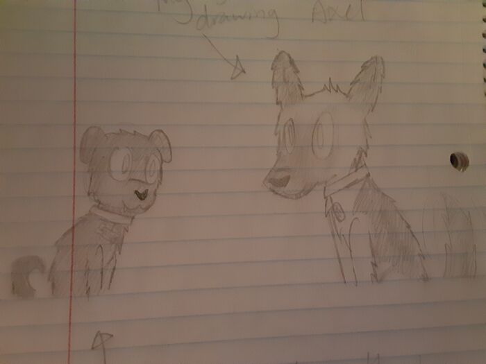 I Drew My Two Doggos In A Cartooney Style Because I Cant Draw Dogs Realistically.