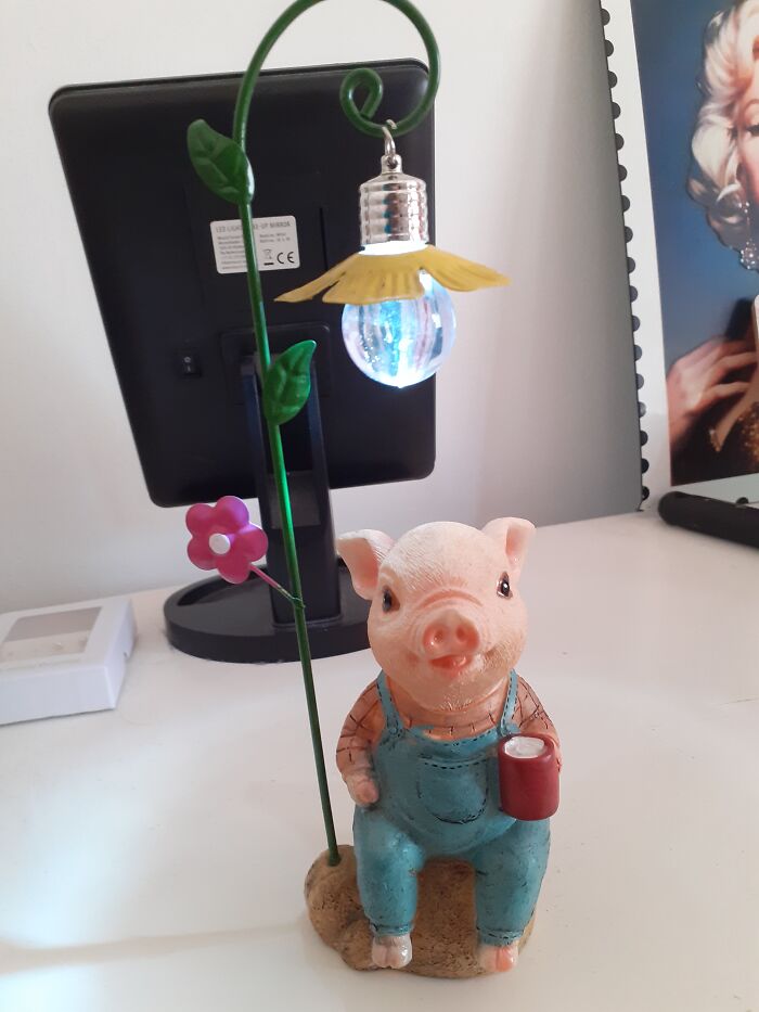 A Little Piggy With Clothes Drinking Milk Under A Flower Streetlight :) (This Is Actually A Garden Light, But She Was Too Cute To Be Kept Outside)