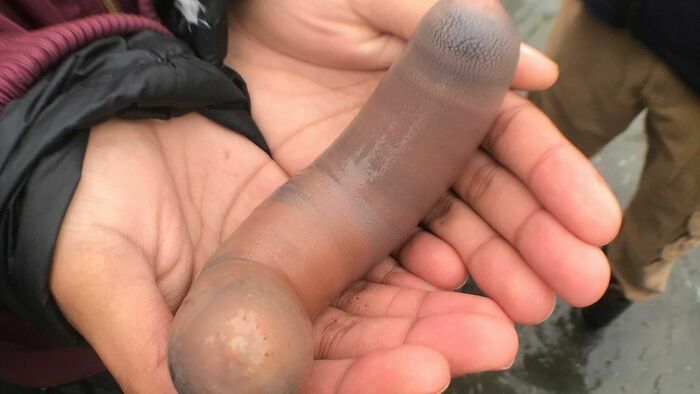 My Friend Found This On The Beach. (I’m Sorry.)