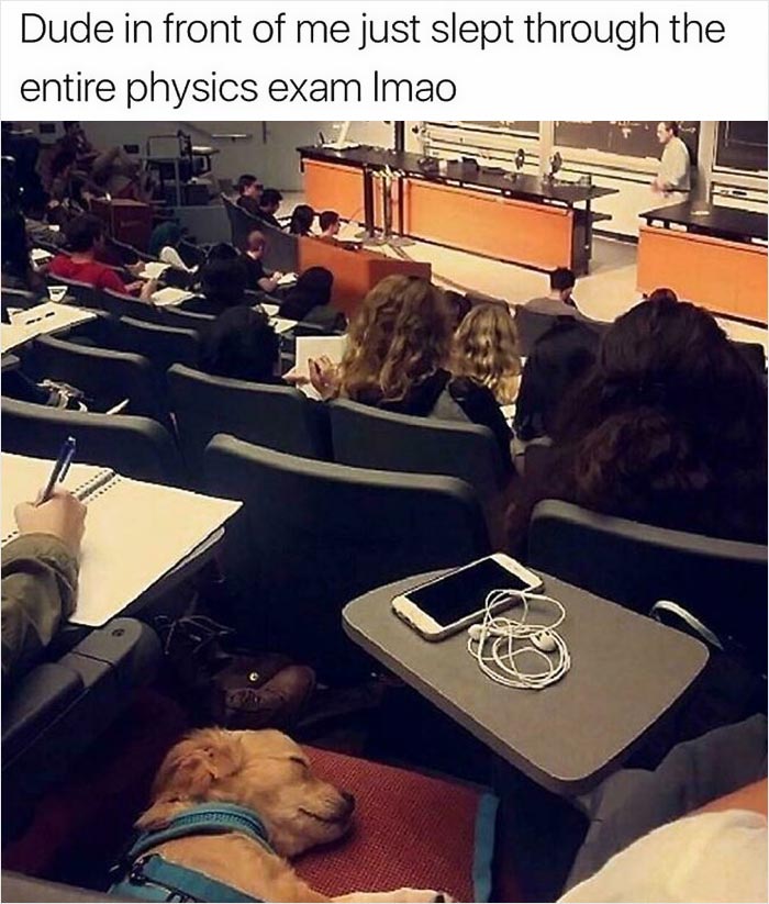 50 Memes That Hilariously Sum Up Student Life.