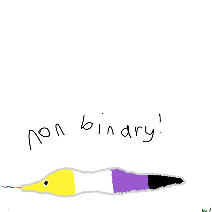 Non Binary For My Nb Friends!
