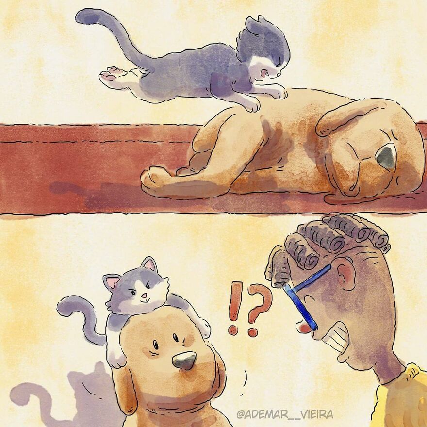 Este artista comparte la historia de cómo adoptó un gatito en un conmovedor cómic sin palabras
