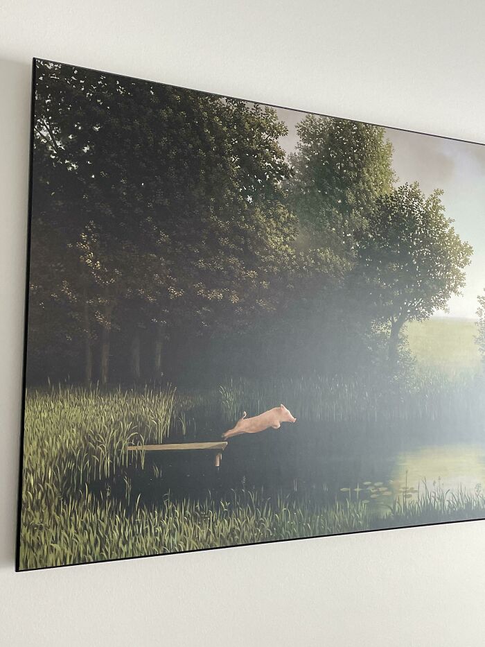 The Apartment That I Just Moved Into, Has A Picture Of A Pig Jumping Off A Dock