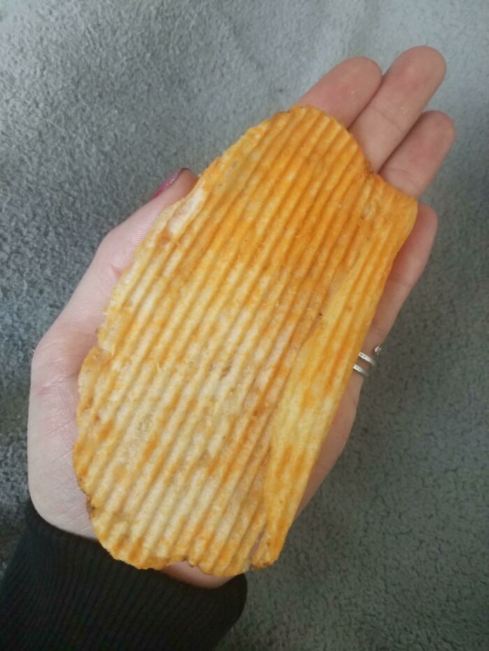 This Chip Is Almost As Big As My Hand