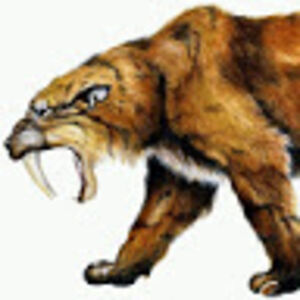 aarontetelman avatar