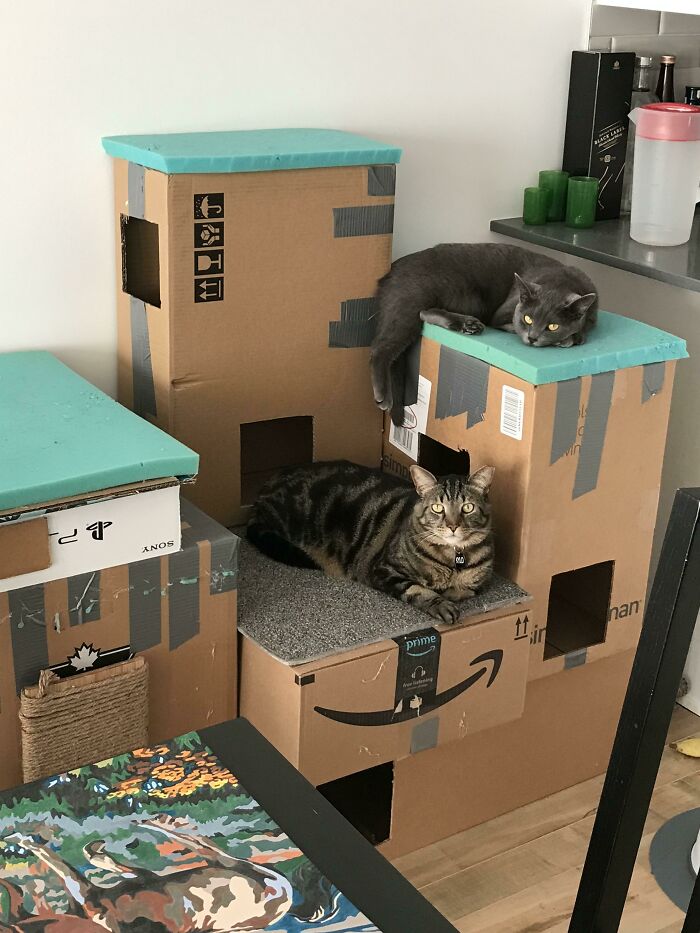 DIY’ed A Tower For My Cats From Amazon’s Boxes. I Think They Enjoy It!